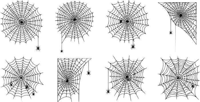 Vector cobweb background. Halloween spider web