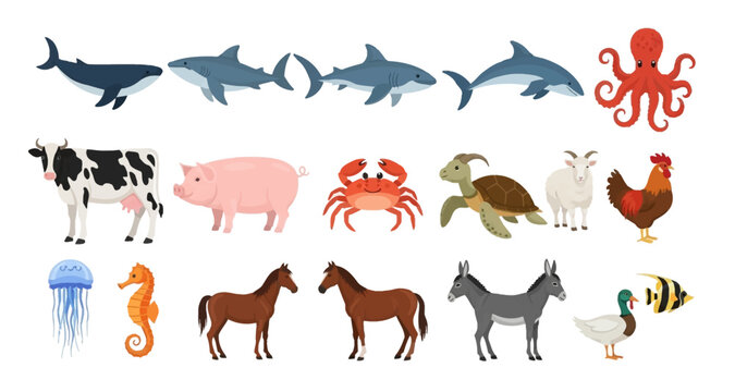 A colorful collection of diverse marine and farm animals illustrated in a cartoon style