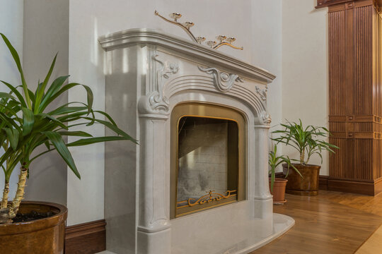 A fireplace is placed in a spacious room with white walls. There are two potted plants beside it. The wooden floor shines under soft light