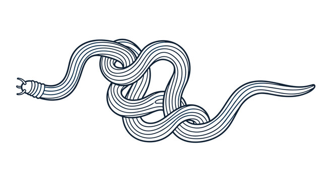 Abstract black and white illustration of an entangled sea snake or ribbon worm, forming an intricate knot on a plain background.