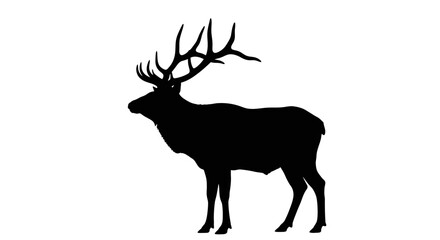 Majestic elk stands proudly defined by its striking silhouette © Amena