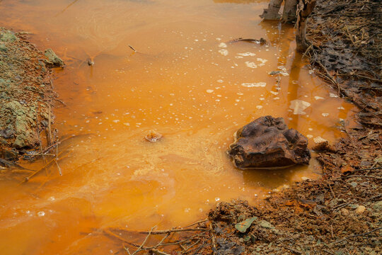 The plant discharges waste into water. Ecological catastrophy.