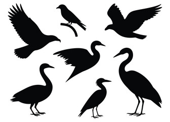 Fototapeta premium A collection of various bird species depicted in striking black silhouettes against a white background silhouette