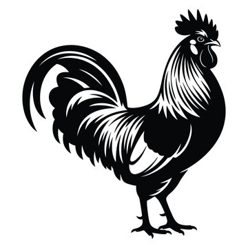 A striking black and white illustration of a proud rooster elegantly presented as a silhouette