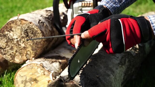 Hands adjust chainsaw blade over rough log. Worker grips tool with care and focus. Green grass surrounds stacked timber. Ideal for outdoor labor or DIY projects. No animals or plants visible