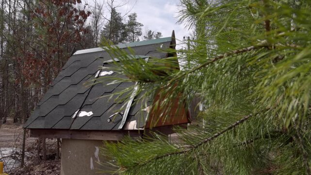 The Revival of a Legacy: A Refurbished Well in the Heart of the Forest