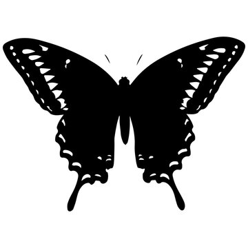 Elegant Black Silhouette of a Pipevine Swallowtail Butterfly