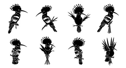 Collection of elegant hoopoe bird silhouettes in various poses and stylized artistic forms showcasing unique feathered crests and distinctive beaks against a clean white © Dipan