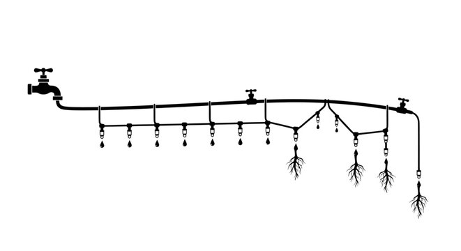 Modern drip irrigation system with water faucet and drippers watering plant roots in a clean white background illustrating efficient agriculture and gardening techniques