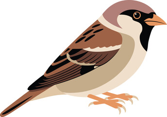 Obraz premium Sparrow perched on a branch with a clean white background vector illustration
