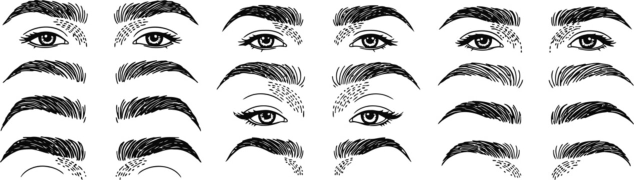 Collection of Eyebrow Styles with Eyes in a Minimalist Line Art Design