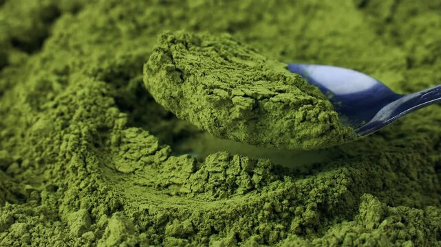 Matcha green tea powder taking with spoon close up. Moringa, Spirulina, chlorella superfoods