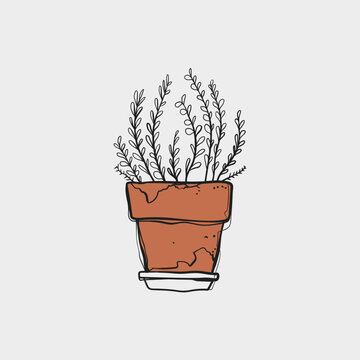 Hand Drawn Doodle Lavender Herb in Rustic Terracotta Pot Sketch Vector Illustration
