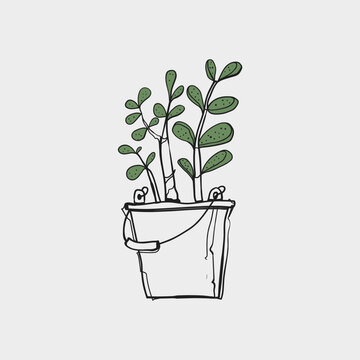 Hand Drawn Doodle Succulent Plant in Metal Bucket Sketch Vector Illustration