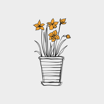 Hand Drawn Doodle Daffodil Flowers in Striped Pot Sketch Vector Illustration
