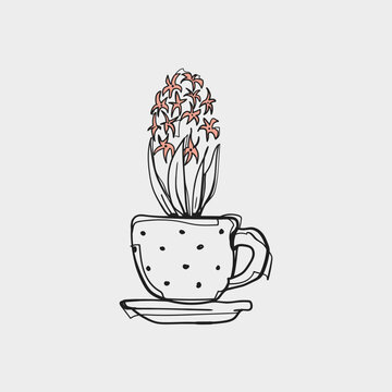 Hand Drawn Doodle Hyacinth Flower in Polka Dot Tea Cup Sketch Vector Illustration