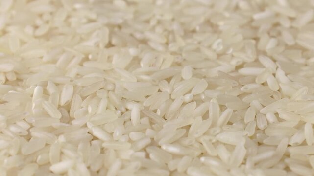 Uncooked white rice grains circle rotation close up
