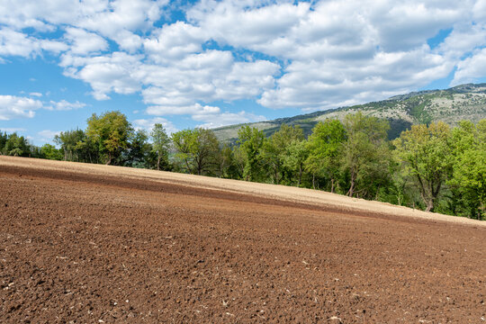 Terreno arato e fresato - Affinamento - Letto di semina