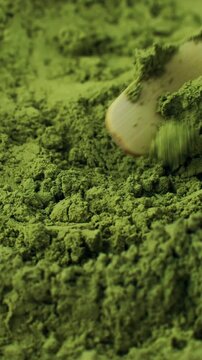 Matcha green tea powder taking with bamboo chashaku scoop close up. Moringa, Spirulina, chlorella superfoods, vertical video format