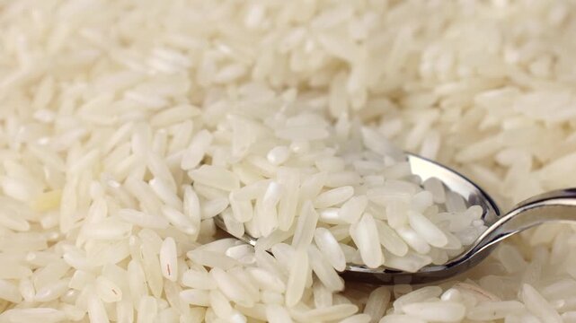 Uncooked white rice grains taking with a spoon close up