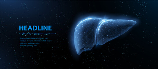 Liver. Abstract vector 3d illustration. Liver health, Fatty liver, Bile detox, Nash disease, Cirrhosis concept, Cancer metabolism, Fat detoxification, Hepatic inflammation, Glycogen metabolism concept © NeonGridStudio