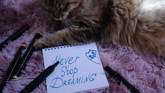 Relaxing cat is  in a thoughtful pose beside a notebook. Handwritten message Never stop dreaming. Scene combines cuteness with a gentle motivational touch, perfect for starting your day with a smile.