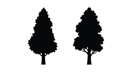 Fototapeta premium Two dark coniferous trees against a white background silhouette