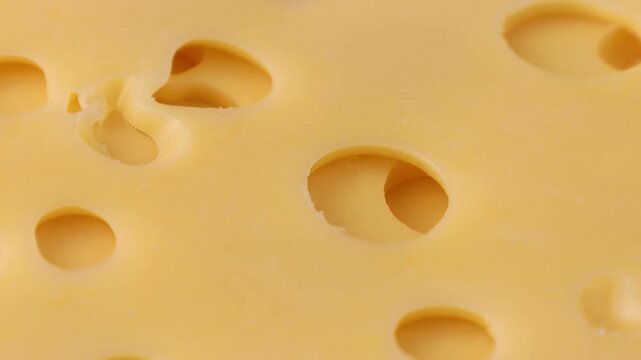 Yellow maasdam cheese slices with large holes circle rotation close up