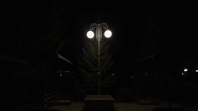 Vintage street lamp with two glowing globes in dark park.