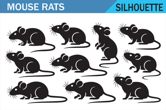Black rodent silhouette set with mouse and rat shapes isolated on white