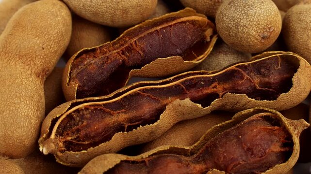 Brown tamarind fruit pods circle rotation close up