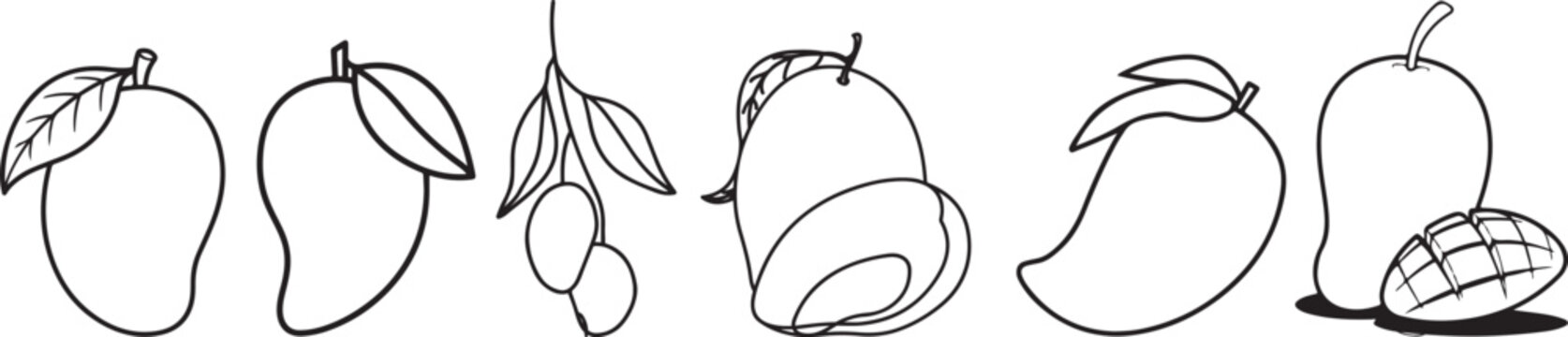 Hand Drawn Mango Fruit Collection Set with Whole Hanging and Sliced Outline Illustrations