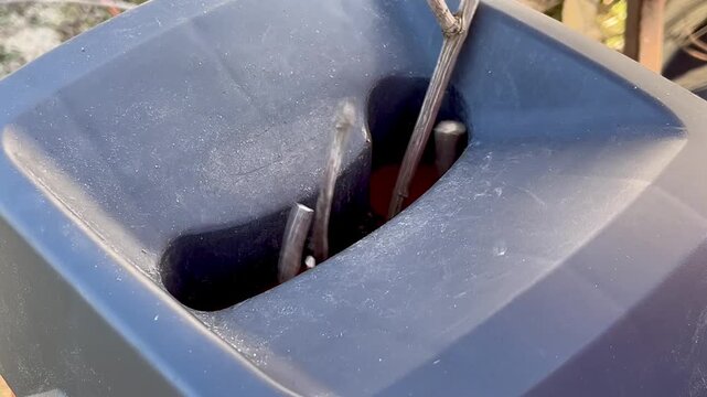 Hands placing cut garden branches into shredder machine during spring yard cleanup showing practical process of recycling organic waste into mulch material
