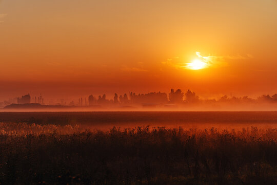 Foggy field at sunrise with silhouettes of trees and orange sky