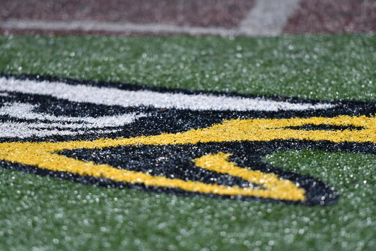 Mascot Emblem on Artificial Turf