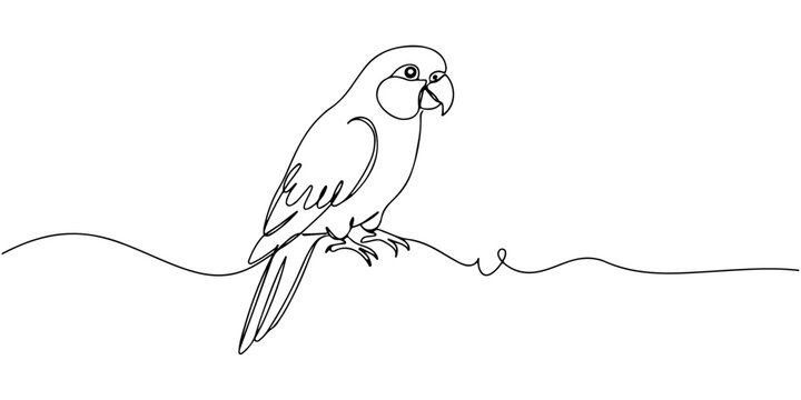 Continuous line drawing of a parrot perched on a branch.