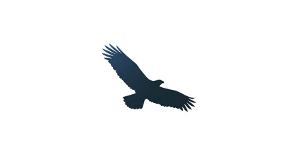 Fototapeta premium Silhouette of a soaring eagle with outstretched wings
