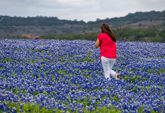 Person in a field of Texas bluebonnets at Muleshoe Bend Recreation Area, Marble Falls in Travis County. Rolling hills provide a scenic backdrop.