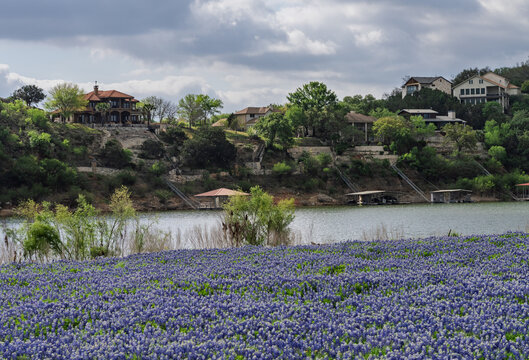 Picturesque view of lakefront homes across the water from bluebonnets at Turkey Bend Recreation Area in Marble Falls, Texas. Features Colorado River.