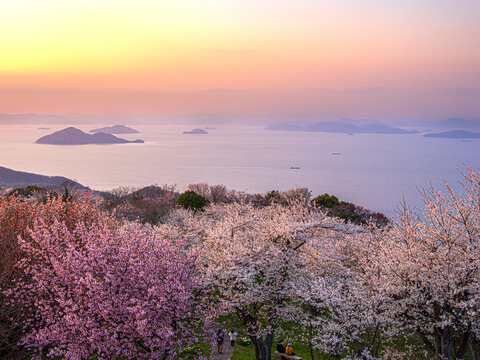 Sunset from Mt. Shiude in spring