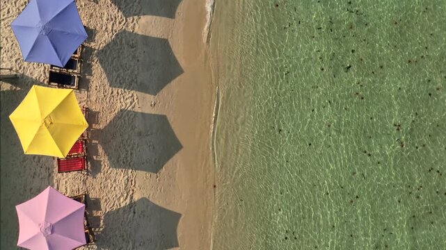 Starfish in clear shallow tropical sea on Phu Quoc Island, Vietnam. Marine life with starfish on white sand, Aerial