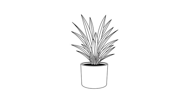 A minimalist line drawing of a potted plant with long, slender leaves against a white background