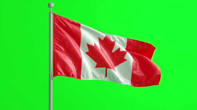 The iconic red and white Canadian national flag with its prominent maple leaf, gracefully waving on a flagpole against a distinct and uniform green screen background.