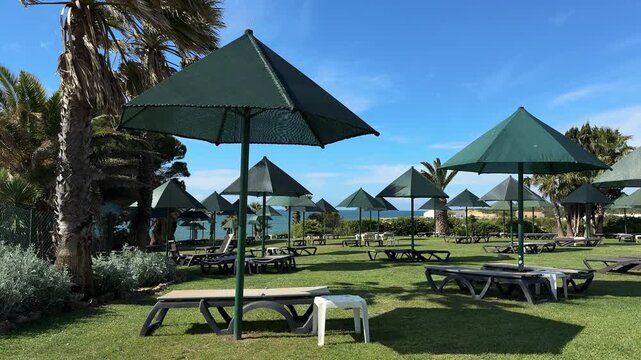 Sun loungers and umbrellas on green lawn in resort garden