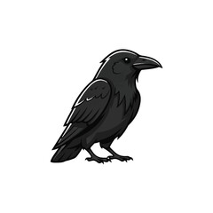 Obraz premium Black bird with sharp beak standing.