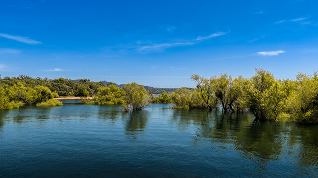 Wide angle aerial view of Folsom Lake with deep blue sky and vibrant spring foliage along the shoreline, California