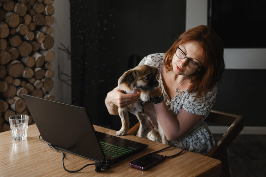 Concerned woman holding her puppy during an online video consultation with a veterinarian on a laptop. Telemedicine for pets, remote vet care, and animal health concept.