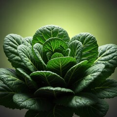 Fototapeta premium Deep green leafy vegetables rich in bioavailable iron and essential organic minerals for nutrition and health, displayed naturally, mineral, vitality, earth