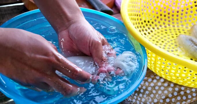 Squid cleaning and preparation by hand with ink release washing in blue basin and draining in yellow colander showing traditional Asian seafood process