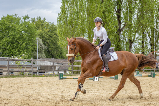 junge Frau reitet einen Fuchs im Galopp im leichten Sitz beim Gymnastik-Springen im Fr&uuml;hjahr auf dem Springplatz